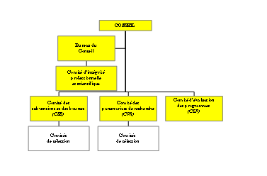 Structure des comits du CRSNG