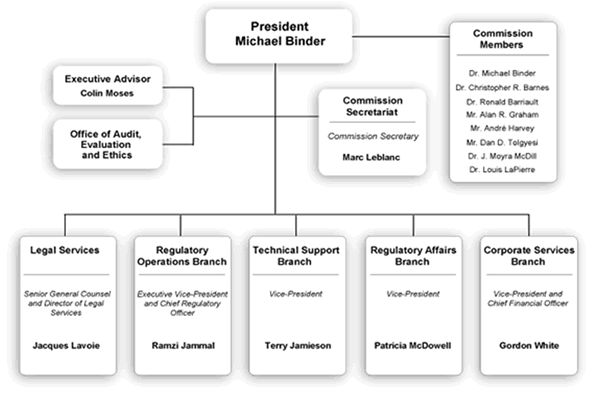 This diagram illustrates the organizational structure of the Commission Tribunal and the CNSC Staff.