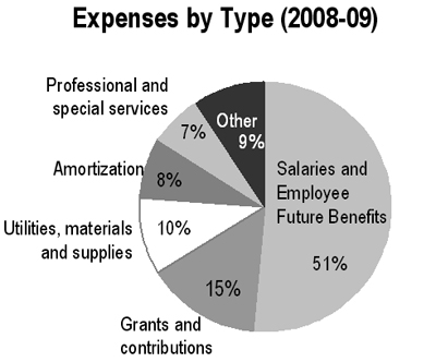 Expenses by Type (2008-09)