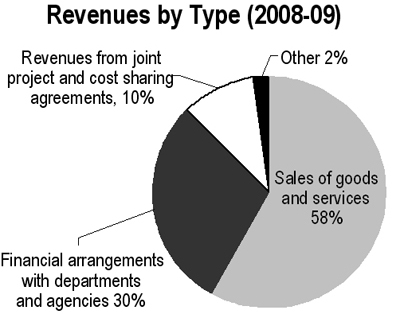 Revenues by Type (2008-09)