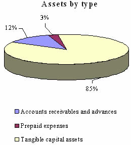 Assets by type