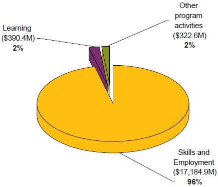 Revenues by major program activity