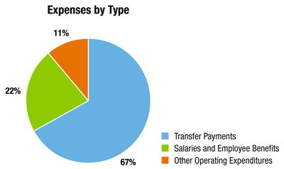 Expenses by Type graph