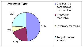 Financial Highlights Chart: Assets by Type