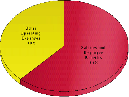 Spending Distribution by Type