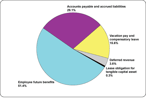 Figure 9 Liabilities by Type