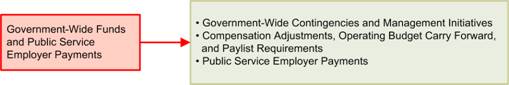Government-Wide Funds and Public Service Employer Payments