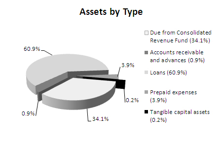 Pie chart breakdown of assets by type, fiscal year 2010-11