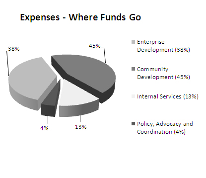 Pie chart of actual spending by program activity