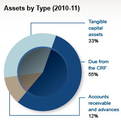 Assets by Type (2010-2011)