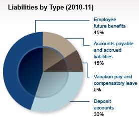 Liabilities by Type (2010-11)