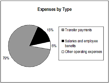 Financial Highlights Chart - Expenses by Type