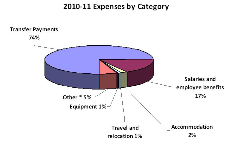 2010-11 expenses by category. Details in text following the image.