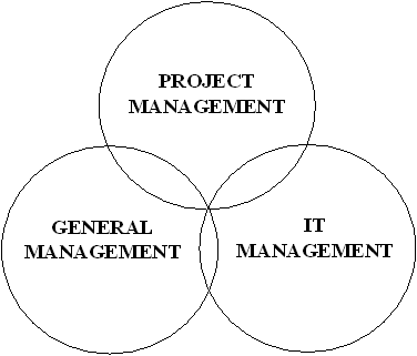 Figure 1. Project Management Core Competency Areas