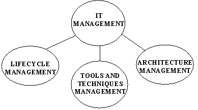 Figure 4. Sub-core Competency Areas under IT Management