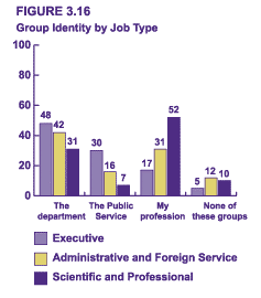 Figure 3.16 - Group Identity by Job Type