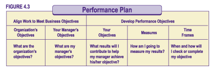Figure 4.3 - Performance Plan