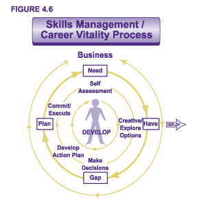 Figure 4.6 - Skills Management / Career Vitality Process