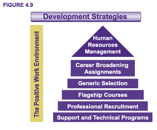 Figure 4.9 - Development Strategies