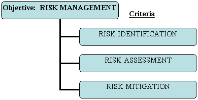 Objective: Risk Management
