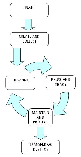 Information Life Cycle