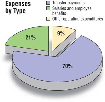 Expenses By Type