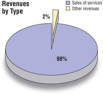 Revenues By Type