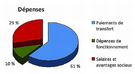 Ce diagramme circulaire montre les divers types de dépenses de CFC.