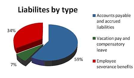 This pie chart shows the mix of liability types at SWC.