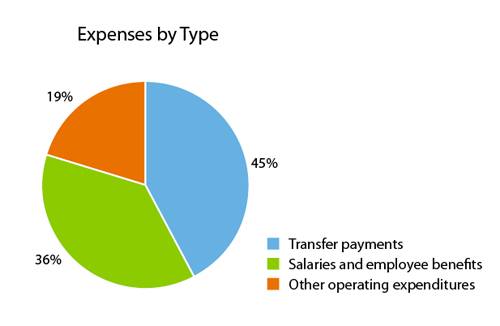 Expenses by Type graph