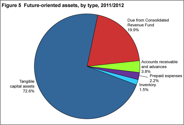 Figure 5: Future-oriented assets, by type, 2011/2012