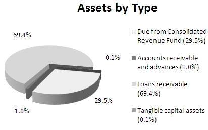 Pie chart, assets by type, fiscal year 2012-2013