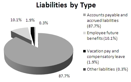Pie chart, liabilities by type, fiscal year 2012-2013