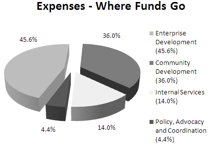 Pie chart of actual spending by program activity