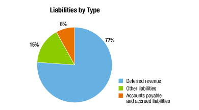 Liabilities by Type