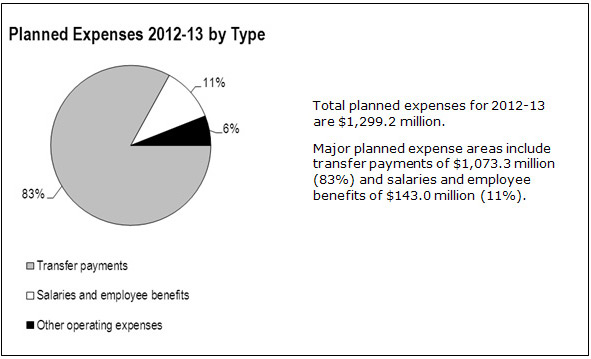 Graphic: Planned Expenses 2012-13 by Type