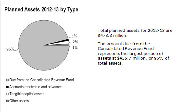Graphic: Planned Assets 2012-13 by Type