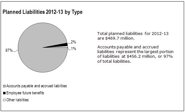 Graphic: Planned Liabilities 2012-13 by Type