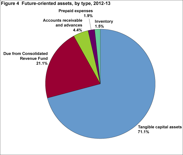 Figure 4 Future-oriented assets, by type, 2012-13