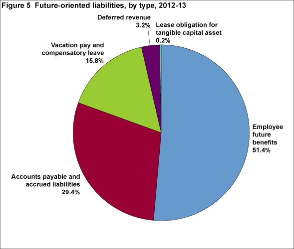 Figure 5 Future-oriented liabilities, by type, 2012-13