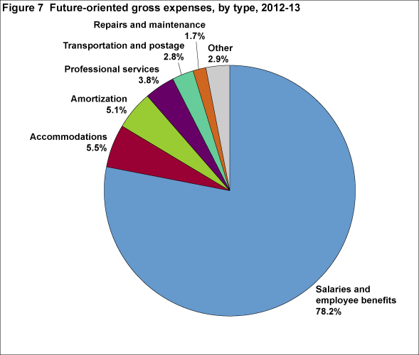 Figure 7 Future-oriented gross expenses, by type, 2012-13
