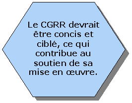 Hexagon: Le CGRR devrait Ãªtre concis et ciblÃ©, ce qui contribue au soutien de sa mise en œuvre.