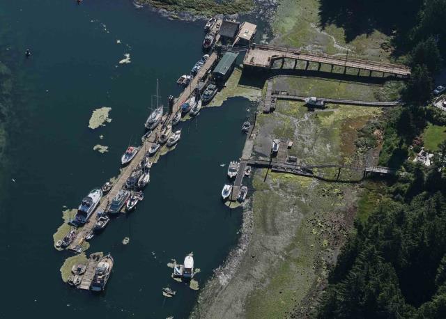 Images aériennes des ports pour petits bateaux Tofino Armitage, Colombie-Britannique
