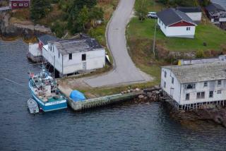 Small Craft Harbour Site, 00879, Jackson's Arm, Newfoundland and Labrador. (2020)