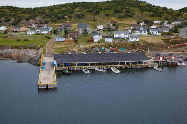 Small Craft Harbour Site 01383, Jenkins Cove, Newfoundland and Labrador. (2020)