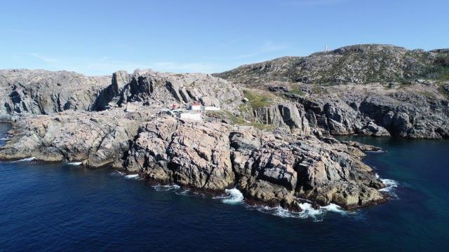 Bacalhao Island, Herring Neck, Newfoundland and Labrador 01407