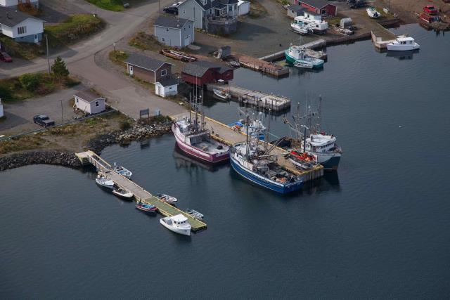 Small Craft Harbour Site, 01493, Robert's Arm, Newfoundland and Labrador. (2020)