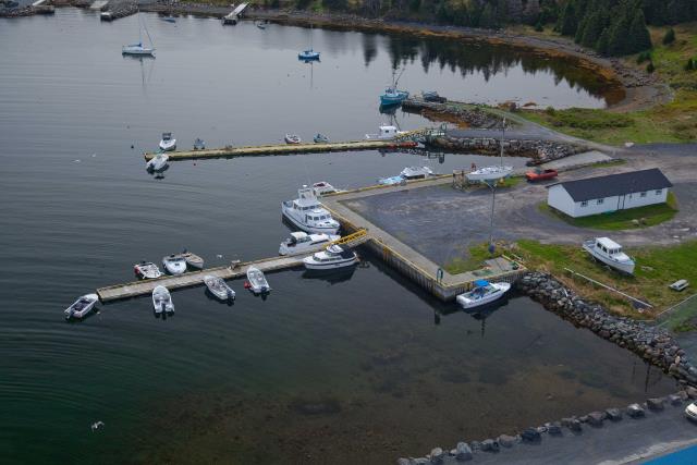 Site du Port pour Petits Bateaux, 13463, New Harbour (Terre-Neuve-et-Labrador). (2020)