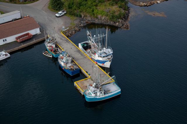 Small Craft Harbour Site, 34826, Cottlesville, Newfoundland and Labrador. (2020)