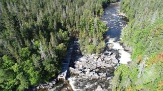 Passe migratoire de la rivière Lomond, Wiltondale, Terre-Neuve-et-Labrador 80385